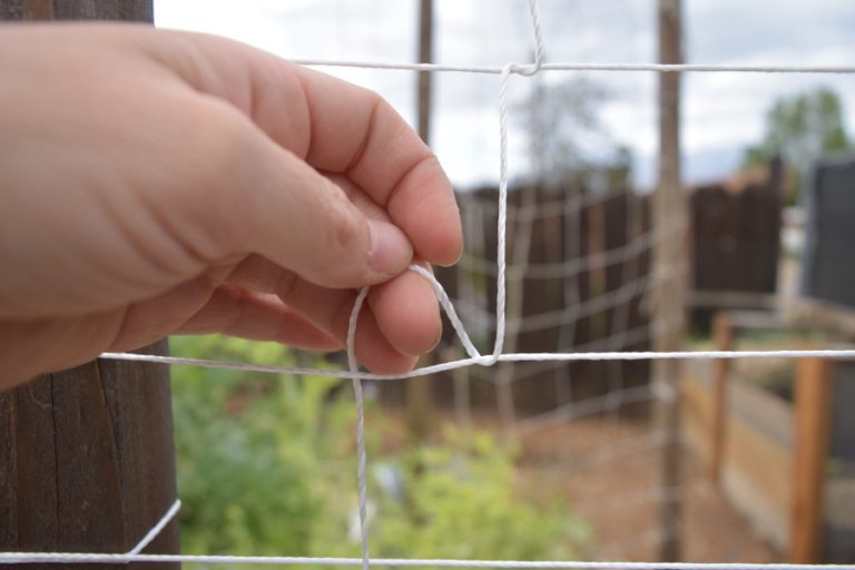 DIY Budget Tomato Trellis with String The Homespun Hive